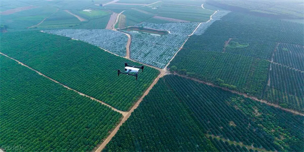 Drohnen-Expresstransport